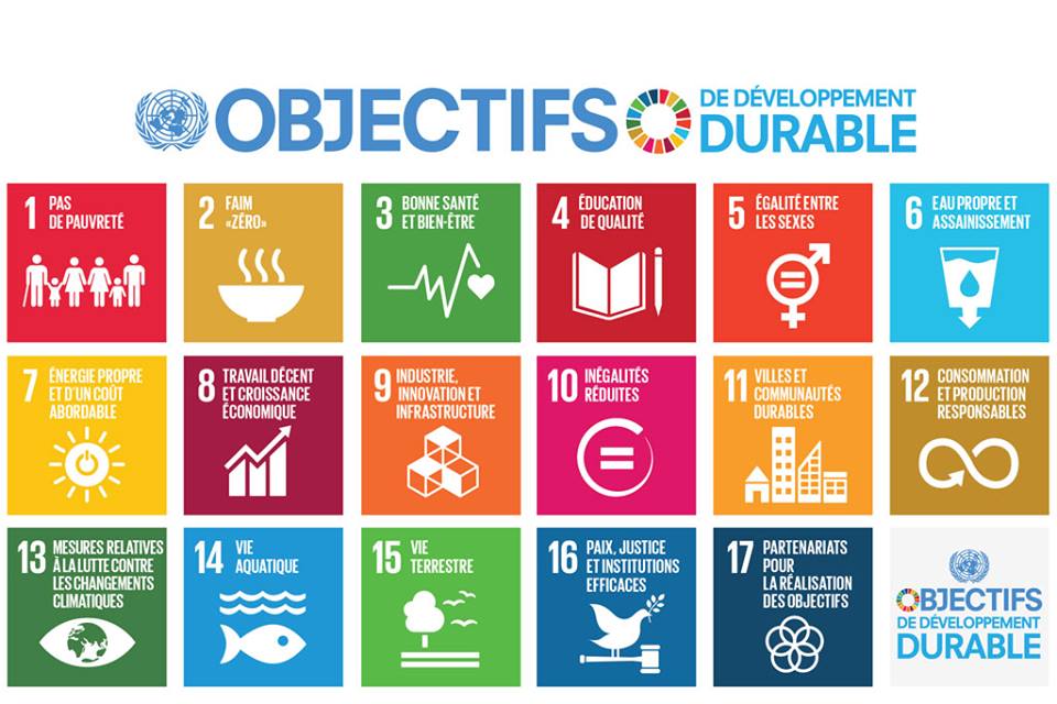 Découvrez les 17 Objectifs du Développement Durable de l'ONU