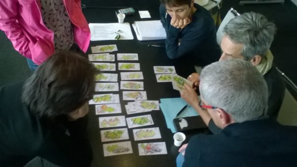 Bientôt disponible : un jeu de carte sur l'Agroécologie